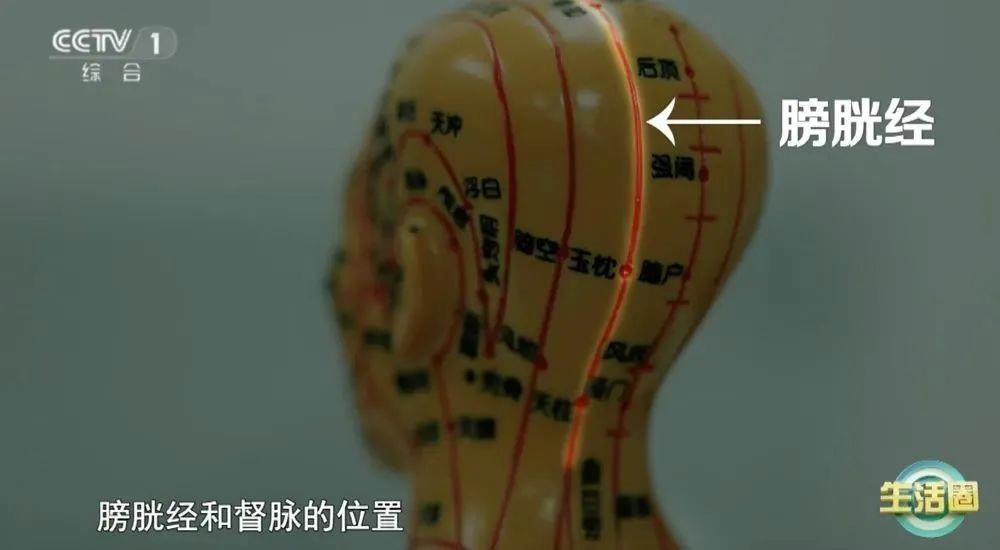 不同健康问题 护发与健康小贴士快收藏不朽情缘游戏网站登录不同