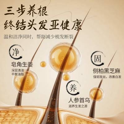 防脱发洗发水品牌排行榜top10合集第一的生发产品推荐不朽情缘游戏网站洗发水防脱生发哪个牌子最好2026热门(图9)